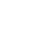 Report Details