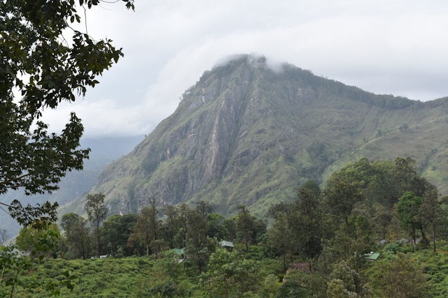 Hiking to Ella Rock